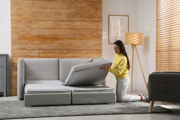 Convertible Bed Assembly in Auburn